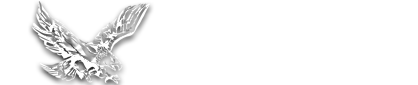 American Entertaiment Logo